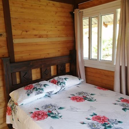 Mario'S Lodge Providencia Copey Екстер'єр фото